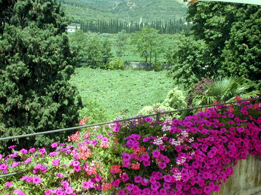 B&B Villa Monteleone Sant'Ambrogio di Valpolicella Ngoại thất bức ảnh