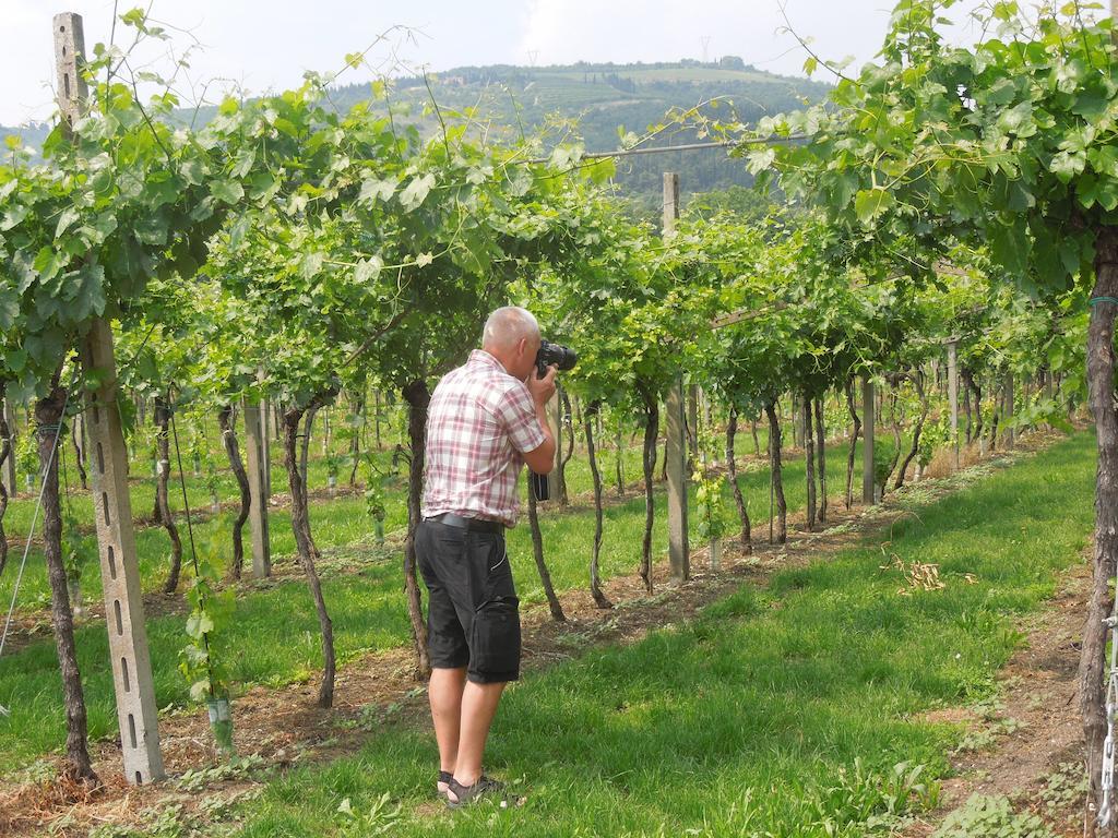 B&B Villa Monteleone Sant'Ambrogio di Valpolicella Ngoại thất bức ảnh