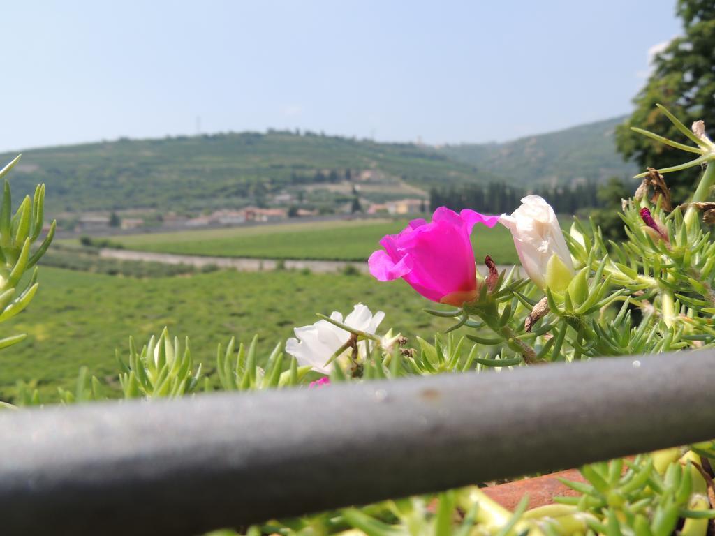 B&B Villa Monteleone Sant'Ambrogio di Valpolicella Ngoại thất bức ảnh